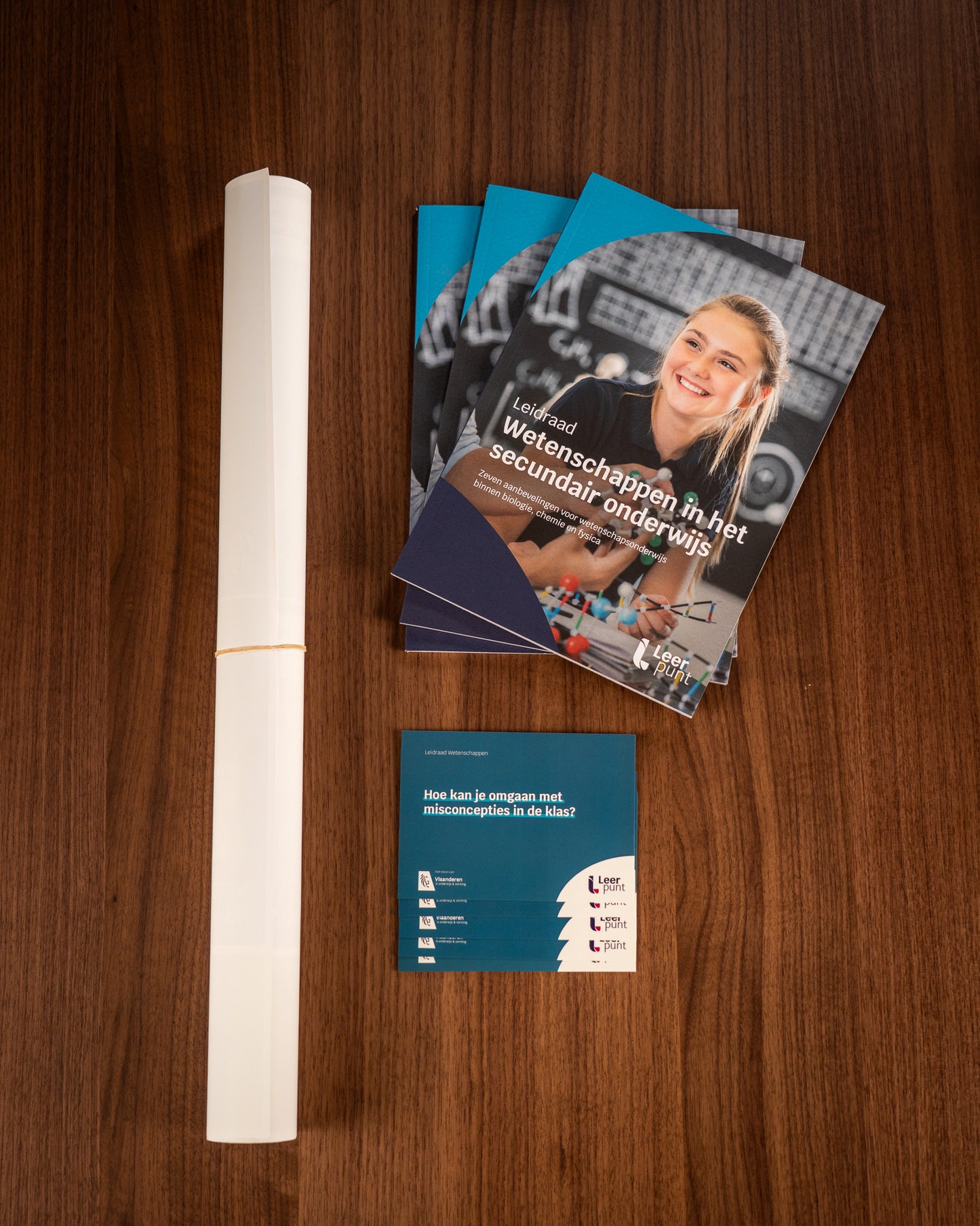 Leidraad 'Wetenschappen in het secundair onderwijs'