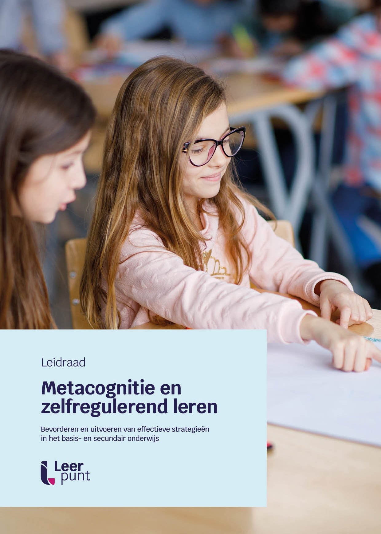 Leidraad ‘Metacognitie en zelfregulerend leren’